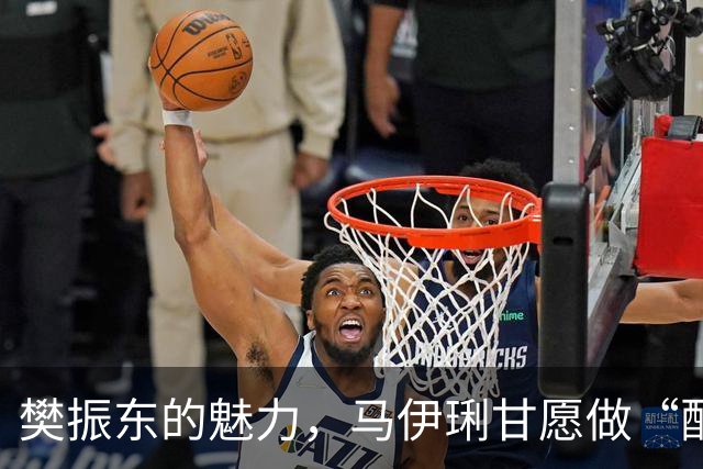樊振东的魅力，马伊琍甘愿做“配角”的背后故事